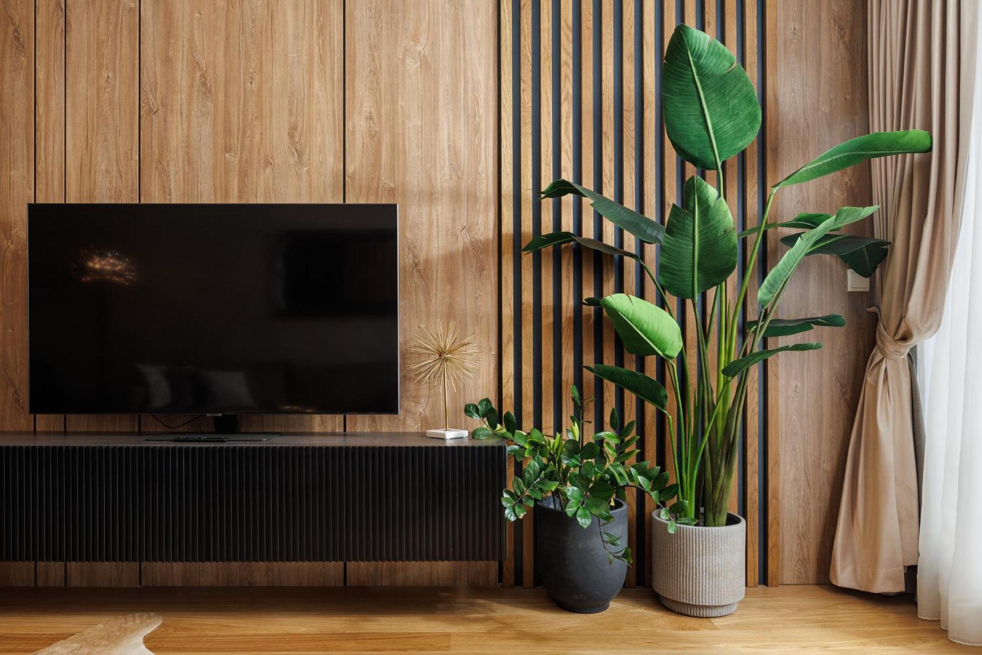 Pure Living Apartment W. Private Parking Braşov Buitenkant foto